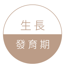 漫慢護背床生長發育期用圖